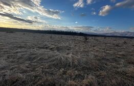 Teren 20000 mp, zona Pestisani