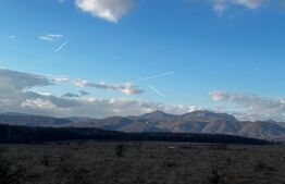 Teren 20000 mp, zona Pestisani