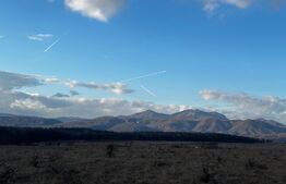 Teren 20000 mp, zona Pestisani