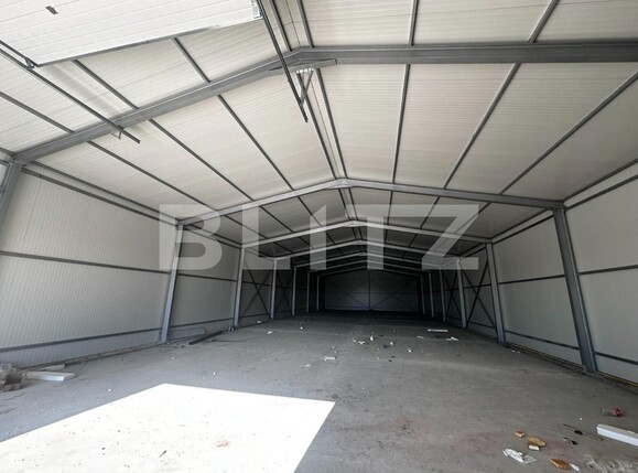 Spațiu industrial de închiriat Centura - 135863SII | BLITZ Târgu Jiu | Poza6