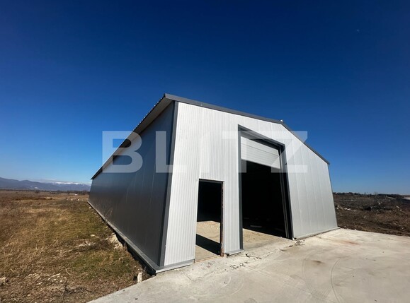 Spațiu industrial de închiriat Centura - 135863SII | BLITZ Târgu Jiu | Poza4