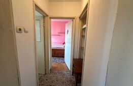 Apartament 3 camere, circular, Plopilor