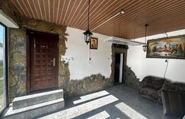 Casa P+1 , 220 mp si 1300 mp teren, zona Runcu 