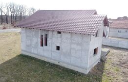 Casa P+1, 180 mp si 2000 mp teren, zona Calnic