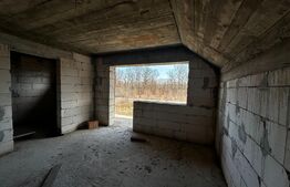 Casa P+1, 180 mp si 2000 mp teren, zona Calnic