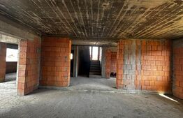 Casa P+1, 180 mp si 2000 mp teren, zona Calnic