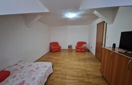Apartament 2 camere, decomandat, 47 mp, zona Artego