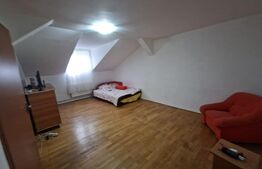 Apartament 2 camere, decomandat, 47 mp, zona Artego