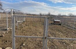 Casa P+M, 196 mp si 2000 mp teren, zona Danesti