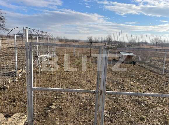 Casa de vânzare 4 camere Exterior Sud - 136842CV | BLITZ Târgu Jiu | Poza18