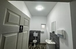 Spatiu comercial, 240 mp, Albeni