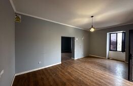 Spatiu comercial, 240 mp, Albeni