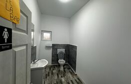 Spatiu comercial, 240 mp, Albeni