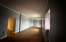 Spatiu comercial, 240 mp, Albeni