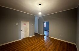 Spatiu comercial, 240 mp, Albeni