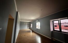 Spatiu comercial, 240 mp, Albeni