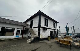 Spatiu comercial, 240 mp, Albeni