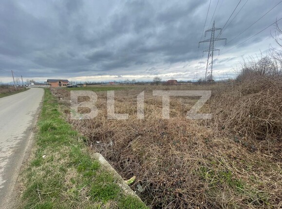 Teren de vânzare Exterior Sud - 137366TV | BLITZ Târgu Jiu | Poza1