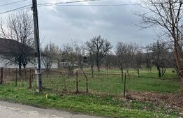 Teren intravilan, sat Cartiu, suprafata 5640 mp