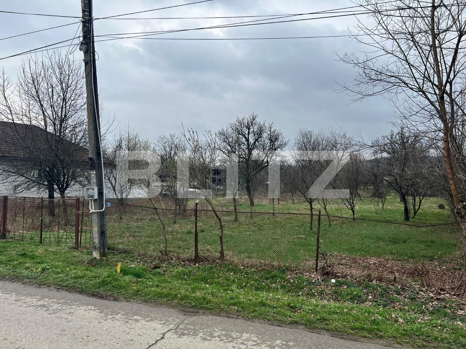 Teren de vânzare Nord Vest - 137400TV | BLITZ Târgu Jiu | Poza2