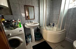 Casa plan parter si 6000 mp teren, zona Sambotin