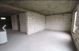 Pensiune D+P+1+M, zona Runcu