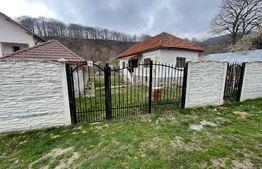 Casa de vanzare in zona turisitica Runcu!