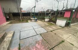 Proprietate ideala plan parter suprafata 61mp, Pesteana Jiu