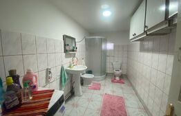 Proprietate ideala plan parter suprafata 61mp, Pesteana Jiu
