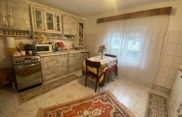 Proprietate ideala plan parter suprafata 61mp, Pesteana Jiu