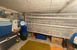 Proprietate ideala plan parter suprafata 61mp, Pesteana Jiu