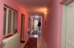 Proprietate ideala plan parter suprafata 61mp, Pesteana Jiu