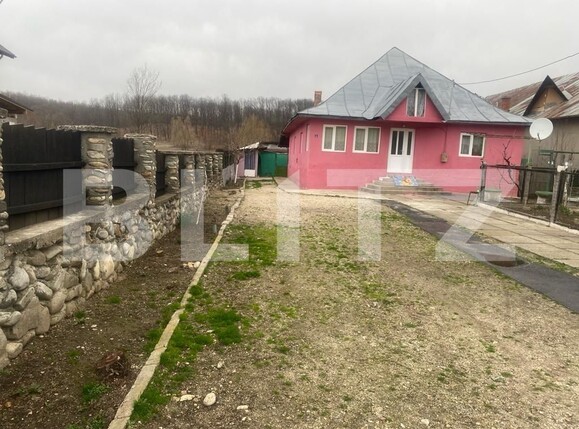 Casa de vânzare 5 camere Exterior Sud - 137549CV | BLITZ Târgu Jiu | Poza9