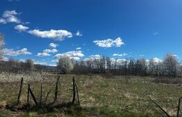 Teren intravilan 6800 mp, zona Polovragi