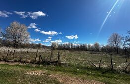 Teren intravilan 6800 mp, zona Polovragi