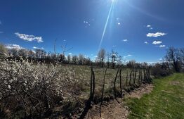 Teren intravilan 6800 mp, zona Polovragi