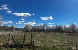 Teren intravilan 6800 mp, zona Polovragi