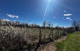 Teren intravilan 6800 mp, zona Polovragi