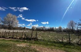 Teren intravilan 6800 mp, zona Polovragi