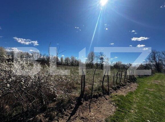 Teren de vânzare Exterior Est - 139357TV | BLITZ Târgu Jiu | Poza2