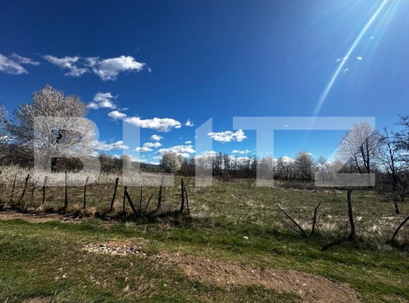 Teren de vânzare Exterior Est - 139357TV | BLITZ Târgu Jiu | Poza3