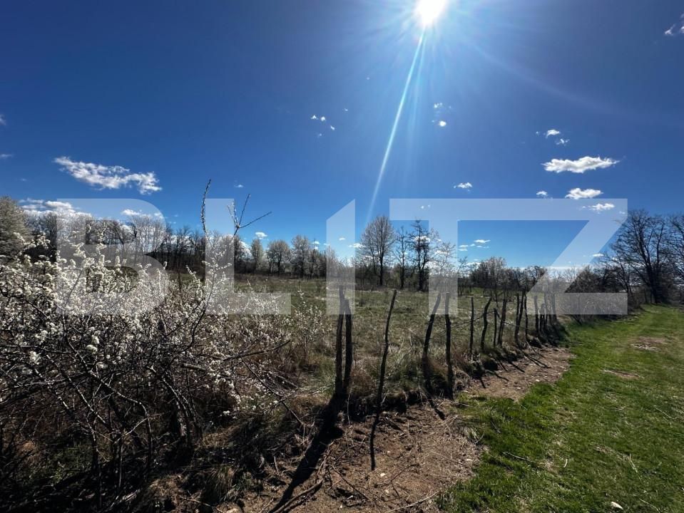 Teren de vânzare Exterior Est - 139357TV | BLITZ Târgu Jiu | Poza2