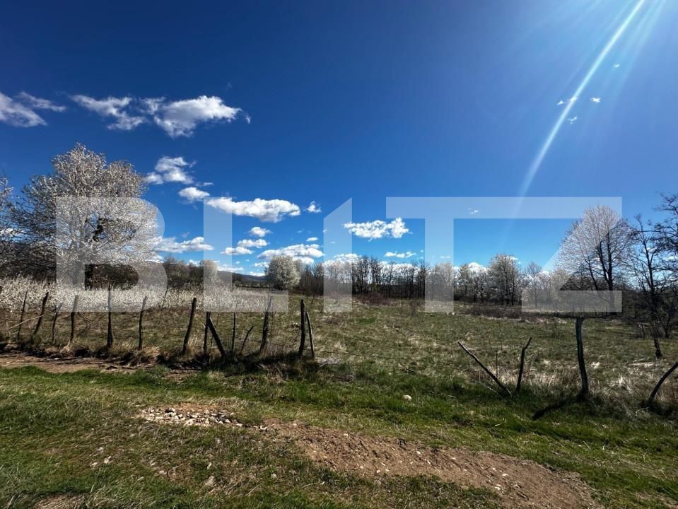 Teren de vânzare Exterior Est - 139357TV | BLITZ Târgu Jiu | Poza3