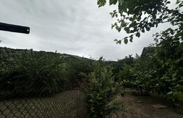 Casa P+M si 2000 mp teren , zona Runcu