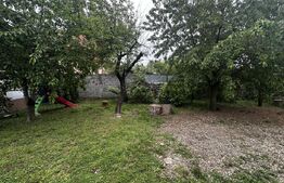 Casa P+M si 2000 mp teren , zona Runcu