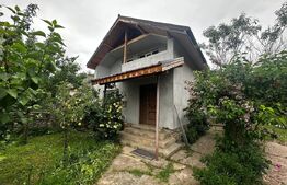 Casa P+M si 2000 mp teren , zona Runcu