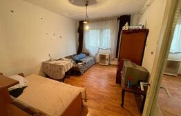 Garsoniera 24mp, zona Debarcader