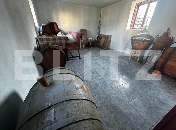 Casa de vânzare 4 camere Exterior Vest - 140758CV | BLITZ Târgu Jiu | Poza13