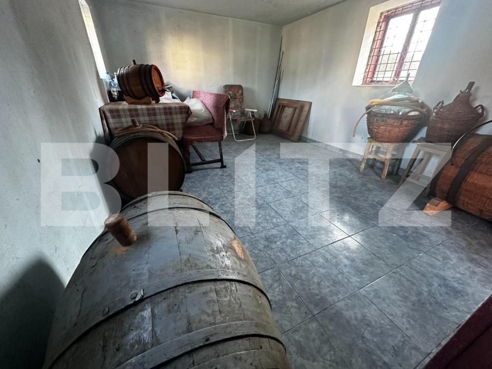 Casa de vânzare 4 camere Exterior Vest - 140758CV | BLITZ Târgu Jiu | Poza13