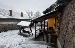 Casa parter+etaj si 5000 mp teren, zona Balesti